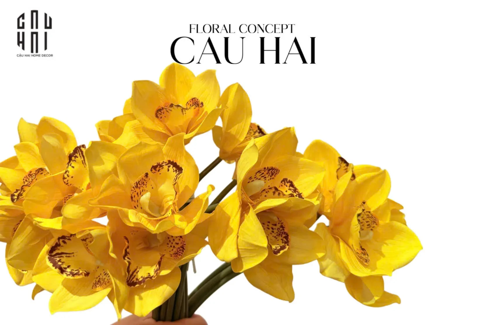 set-5-hoa-dia-lan-canary-cau-hai-home-decor - CẬU HAI HOME DECOR