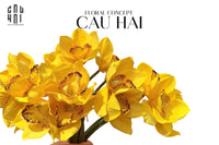 Set 5 Hoa Địa Lan - Canary-TƯỢNG TRANG TRÍ-CẬU HAI HOME DECOR