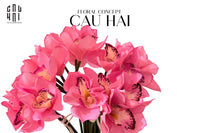 set-5-hoa-dia-lan-hot-pink-cau-hai-home-decor - CẬU HAI HOME DECOR