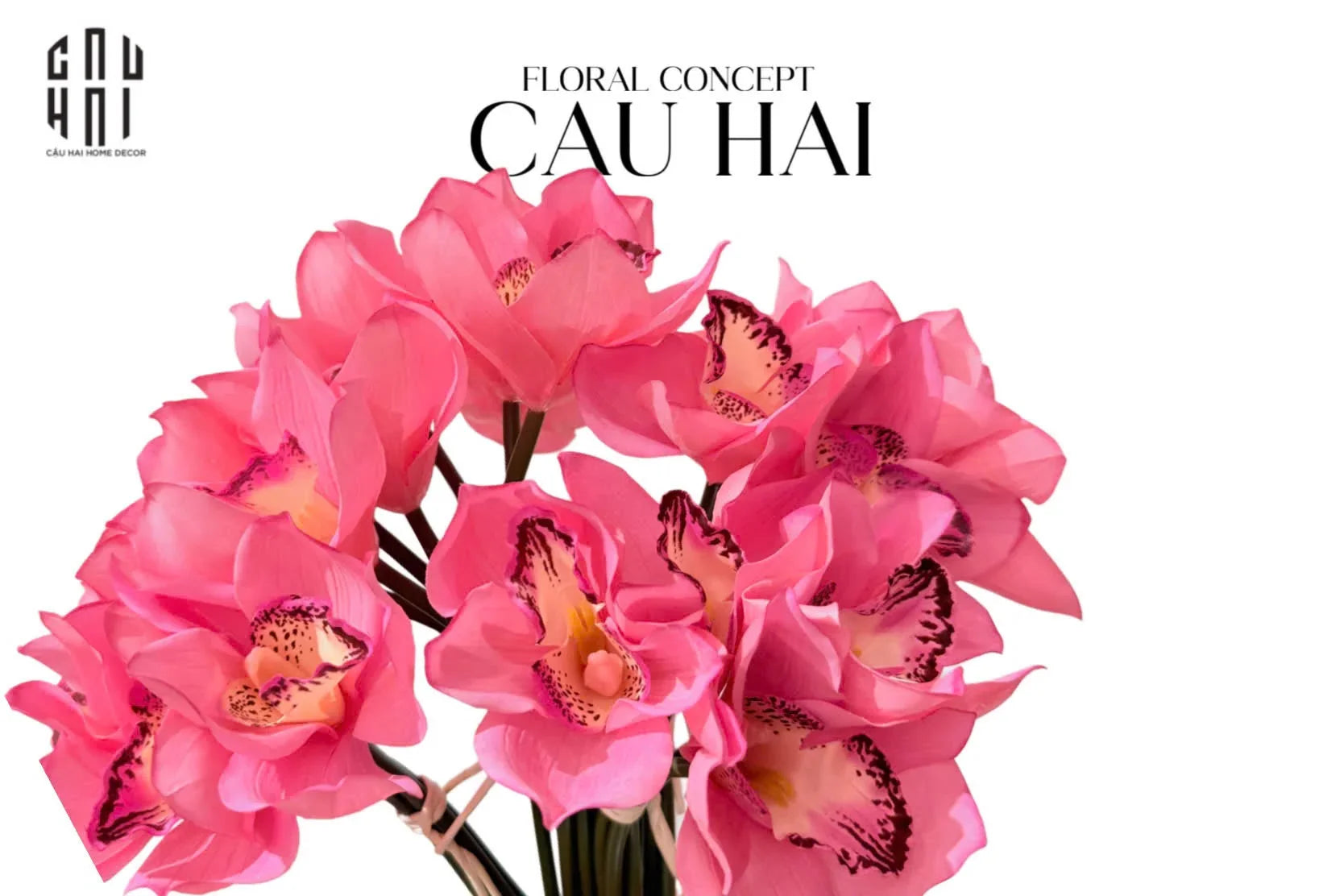 Set 5 Hoa Địa Lan - Hot Pink-CẬU HAI HOME DECOR