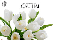 set-5-hoa-tulip-milk-grace-cau-hai-home-decor - CẬU HAI HOME DECOR