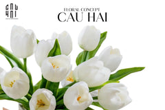 set-5-hoa-tulip-milk-grace-cau-hai-home-decor - CẬU HAI HOME DECOR