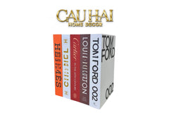 Set 5 Sách Mô Hình Lux Brand-SÁCH TRANG TRÍ-CẬU HAI HOME DECOR