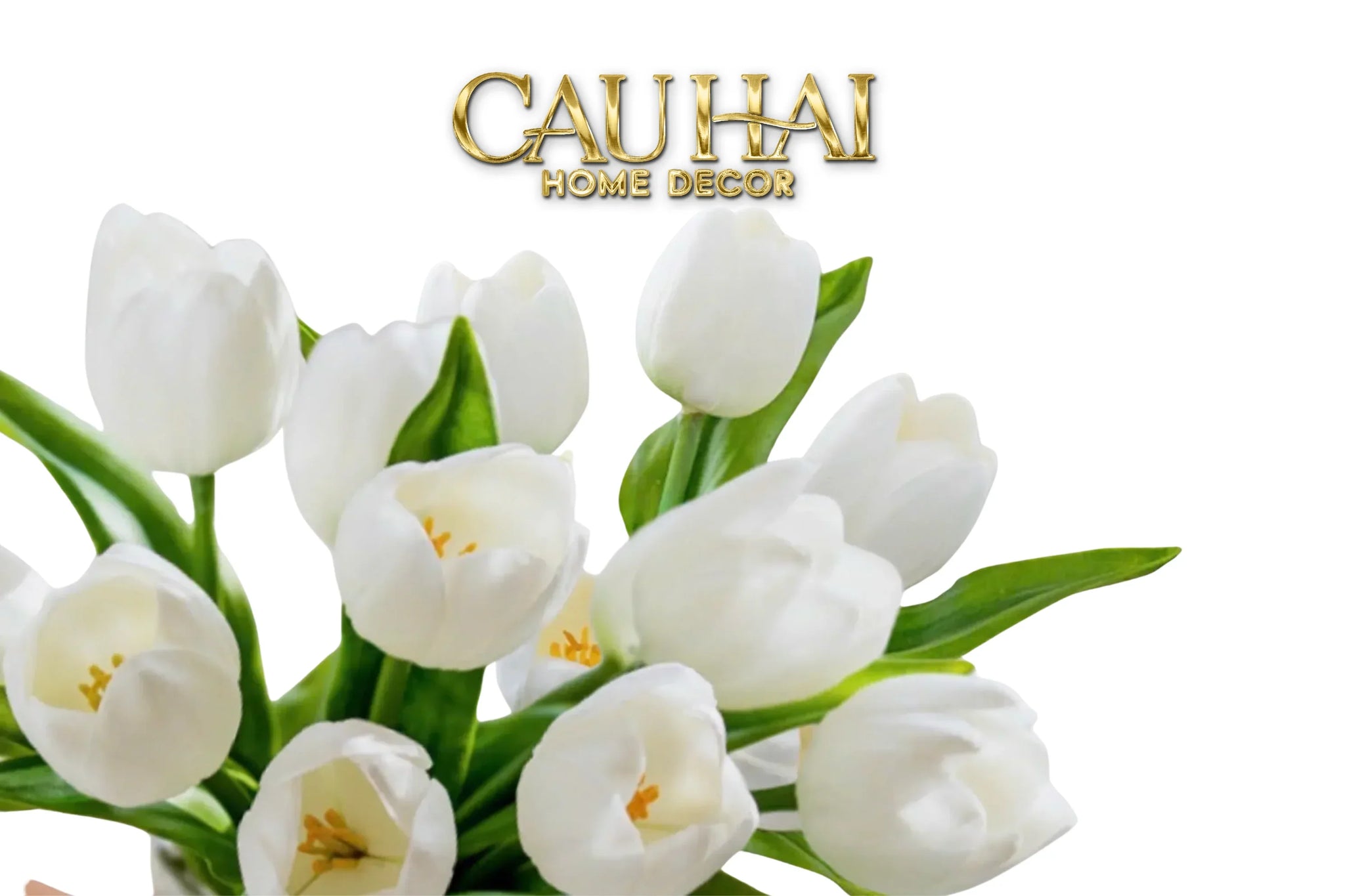 Set 7 Hoa Tulip Cranberry - Tulipe De Grandeur-CẬU HAI HOME DECOR