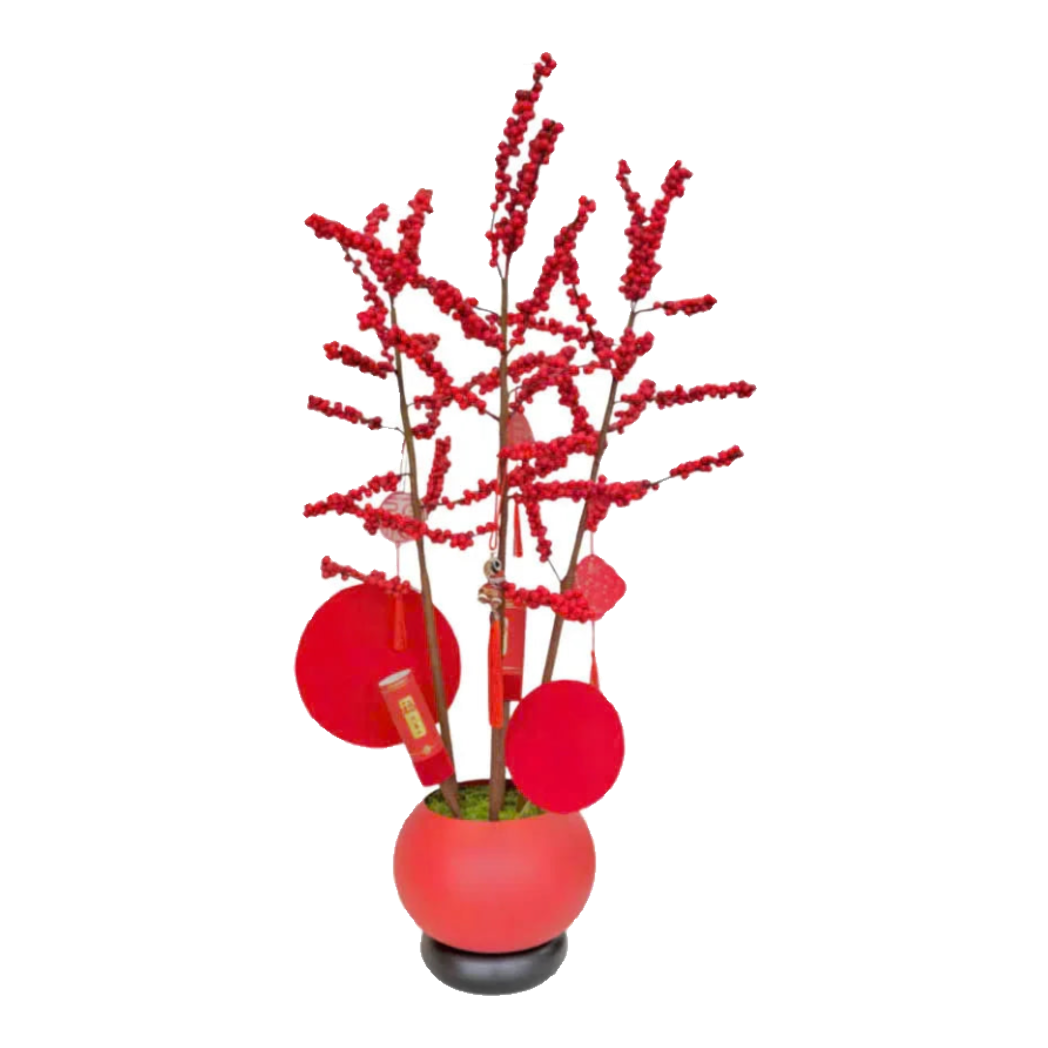 Tết Couture - Chậu Đào Đông Crimson Winterberry Festive
