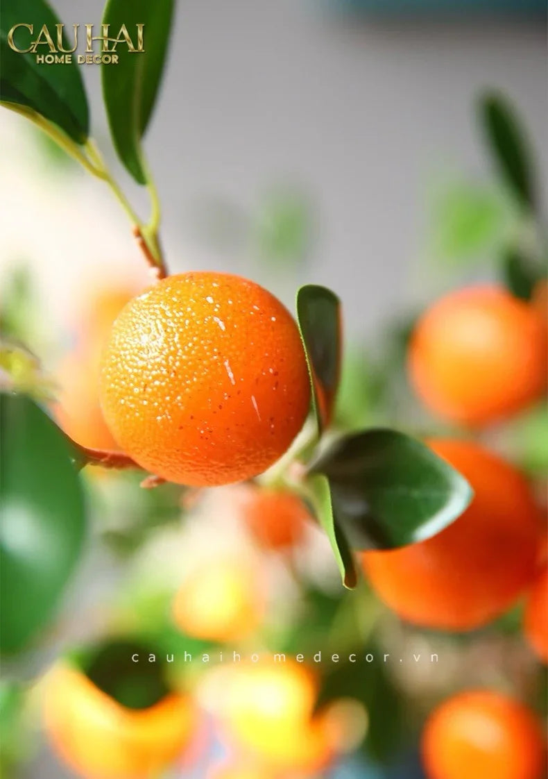 tet-couture-set-2-canh-qua-quyt-tangerines-emberamber-cau-hai-home-decor-14 - CẬU HAI HOME DECOR