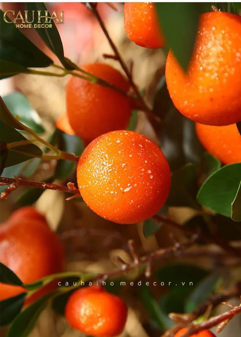 tet-couture-set-2-canh-qua-quyt-tangerines-emberamber-cau-hai-home-decor-19 - CẬU HAI HOME DECOR