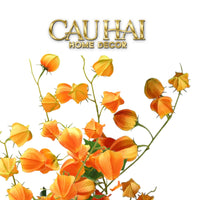 tet-couture-set-2-canh-trai-tam-bop-physalis-amberfruit-85cm-cau-hai-home-decor - CẬU HAI HOME DECOR