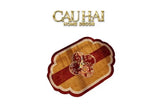 Thảm Cửa Microfiber 50x75 - Ming Dynasty Floral of Fortune - Hỷ Lạc Hoa Khai-THẢM CỬA-CẬU HAI HOME DECOR