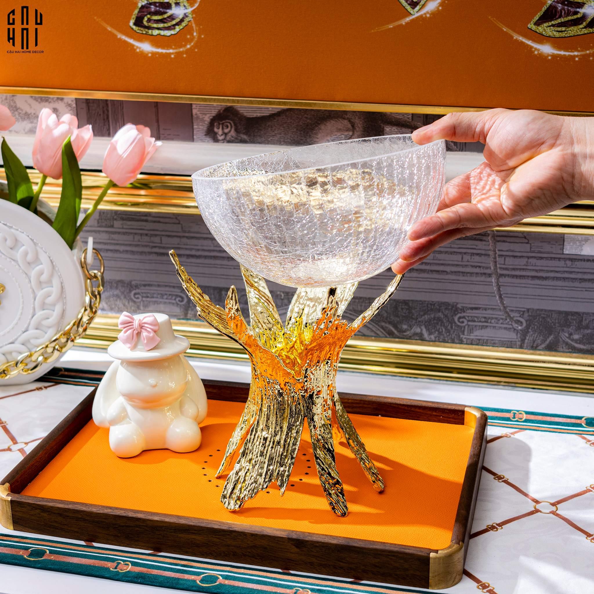 THỐ TRÁI CÂY CORRIGAN