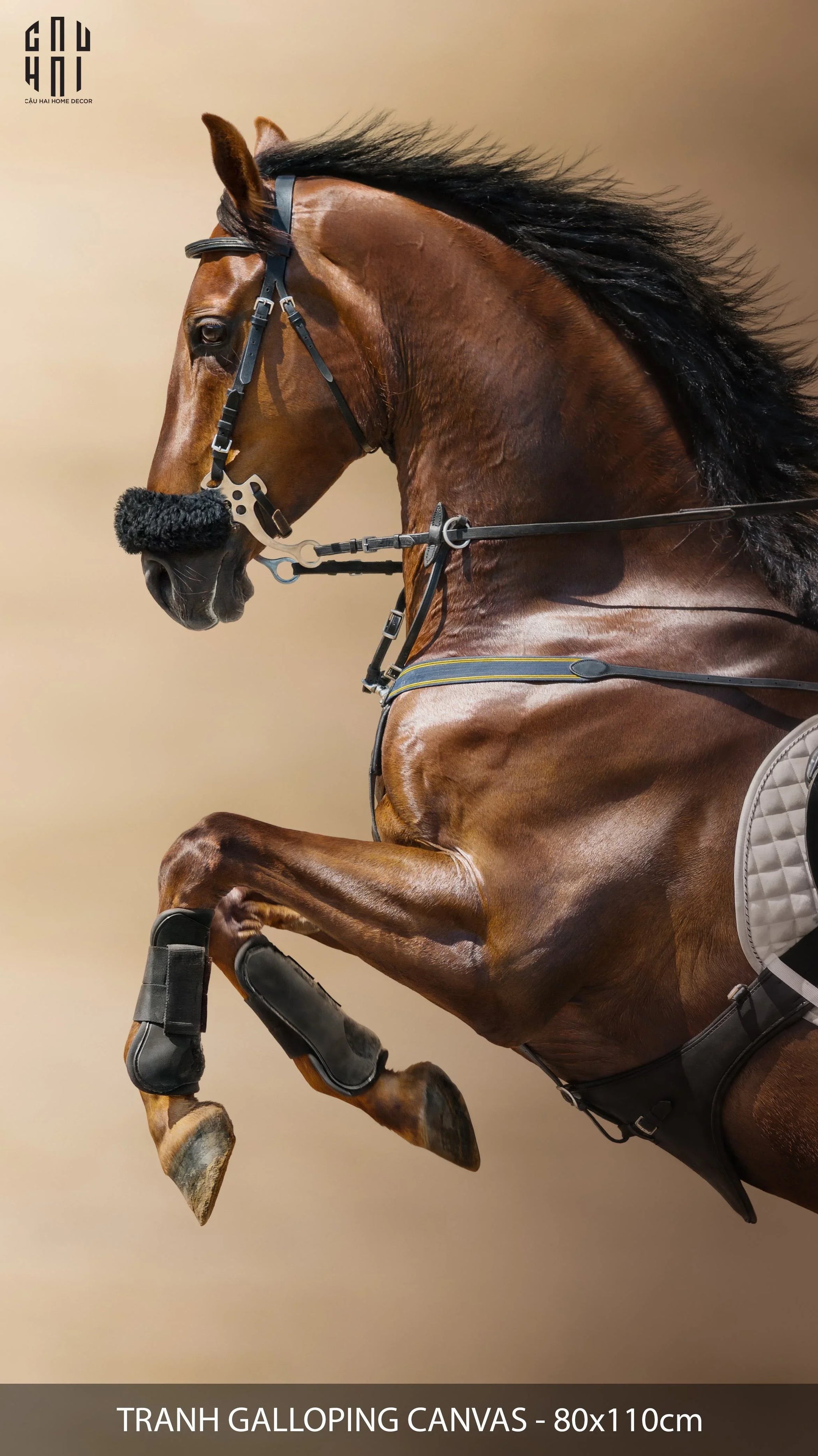 TRANH CANVAS GALLOPING 80X110CM