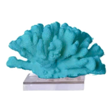 Tượng San Hô Corail Art de Mer Turquoise Sculptural