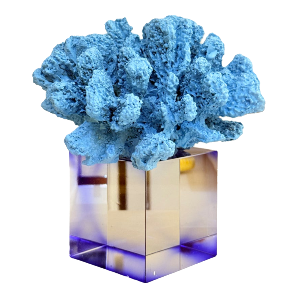 Tượng San Hô Đại Dương Blue Cristalleries Nautical Azure Coral Sculptures 15x20