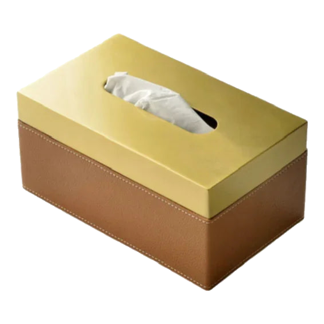 Hộp Khăn Giấy Da Équestre D'Or 22x10x12