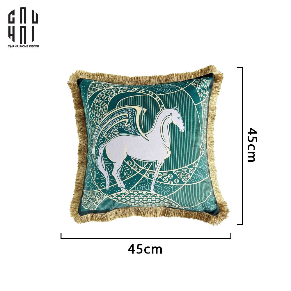 VỎ GỐI NHUNG ECLIPSE 45.