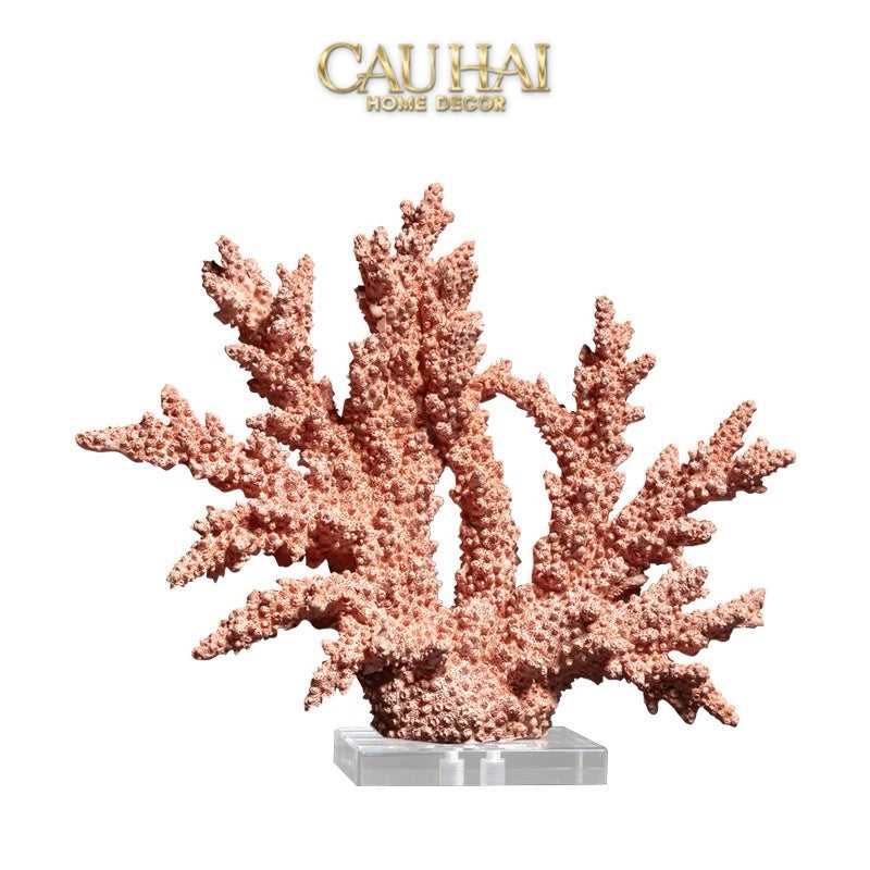 HOME COUTURE - TƯỢNG SAN HÔ ASHEN TERRA CORALLIA - CẬU HAI HOME DECOR