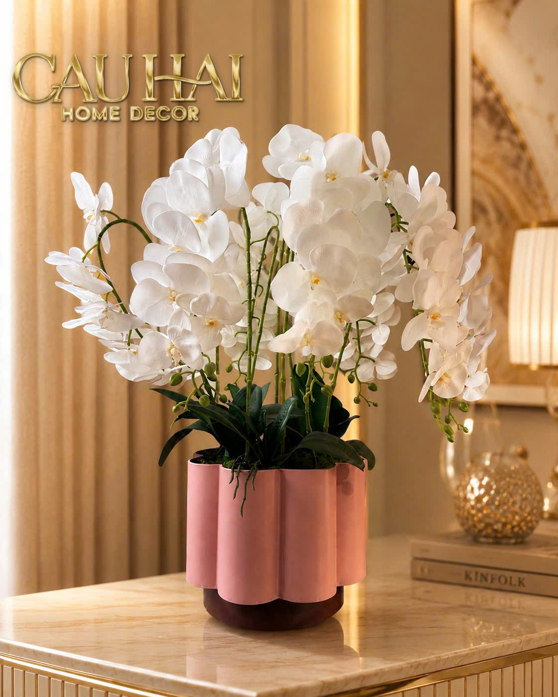 Chậu Lan Hồ Điệp Blanc Impérial H70